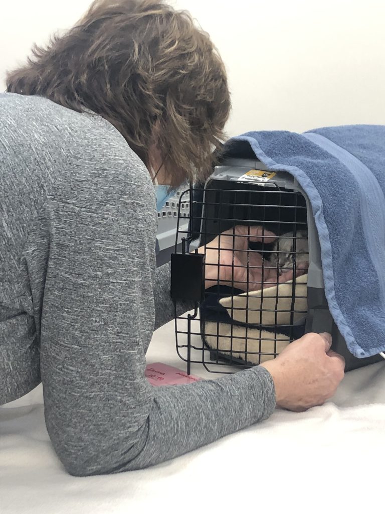 Home Nutmeg Spay/Neuter Clinic