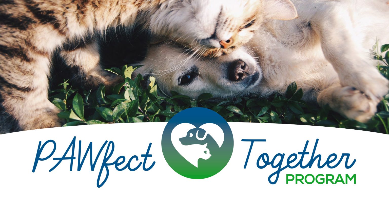 Host your own fundraiser and give back! Nutmeg Spay/Neuter Clinic