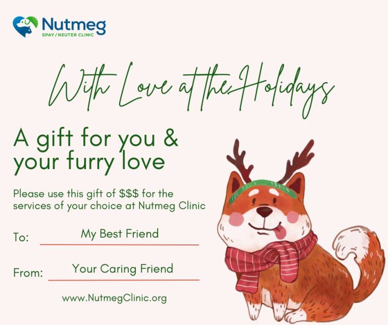 Nutmeg Gift Certificate